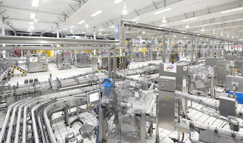 數字化轉型不會讓弱者變強——以人工智能基礎軟件開發為視角的觀察